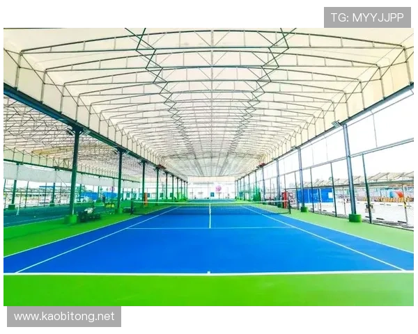 奥运会网球比赛场地的选择与影响因素解析 奥运会网球比赛场地的选择与影响因素解析