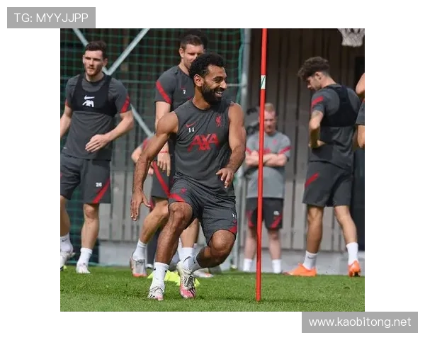 卡迪夫城俱乐部最新动态：球队引进多名新球员备战新赛季