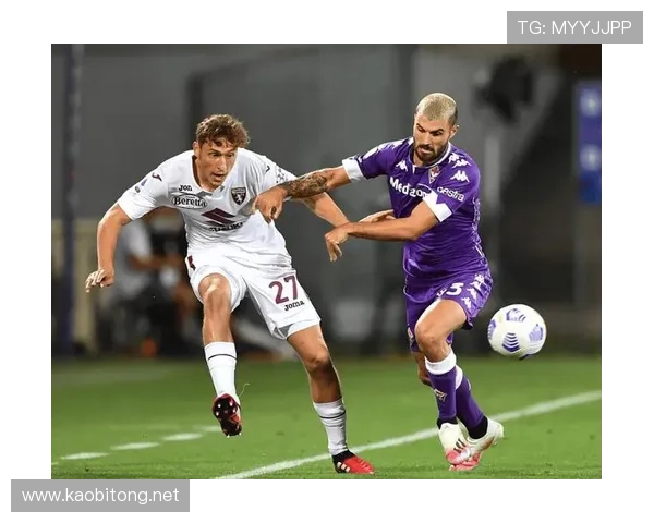 巴黎FC崛起之路探秘从草根力量到法乙劲旅的成长传奇